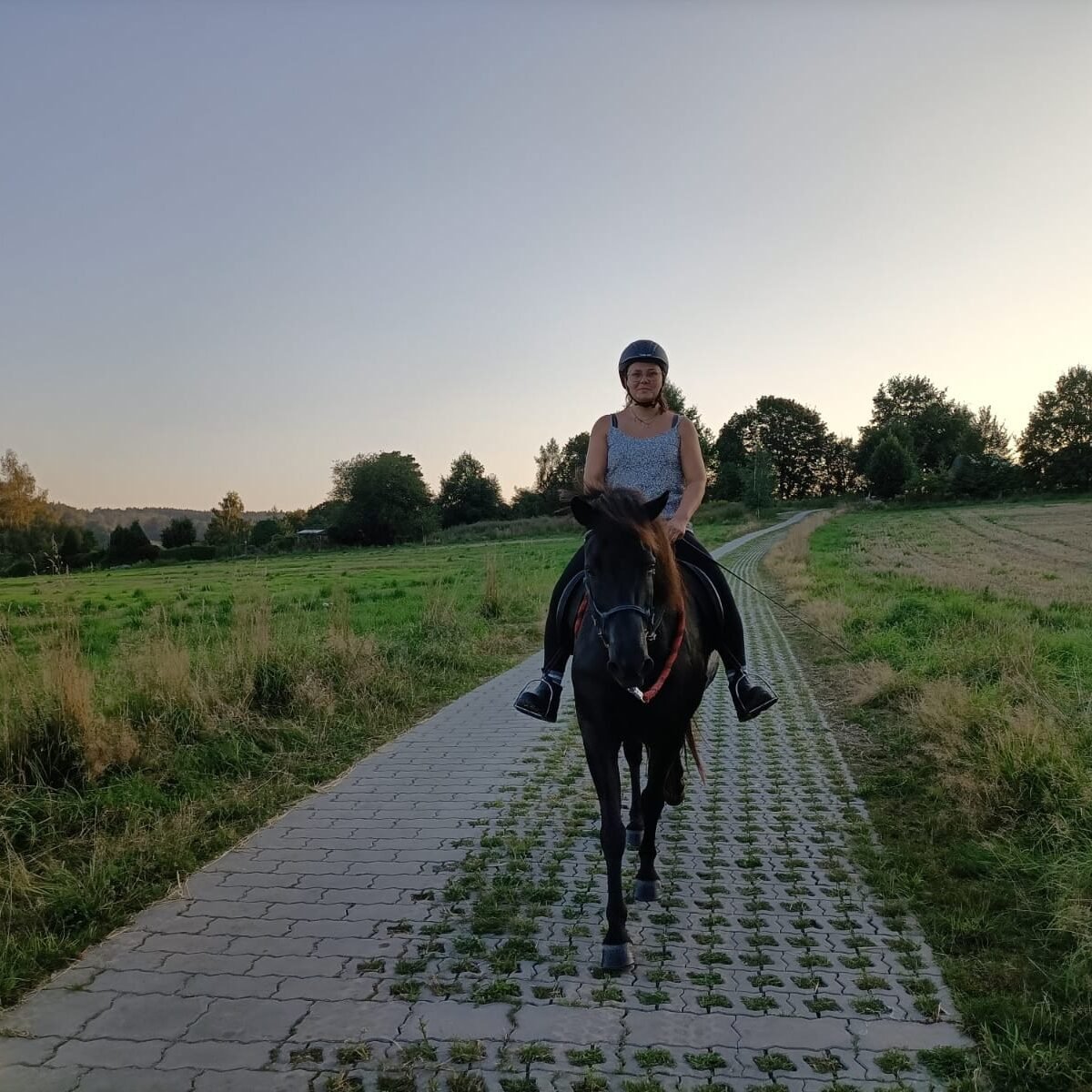 Reiten, Pferdetraining, Pferd-Mensch-Beziehung
